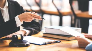 Liability standards for dog owners